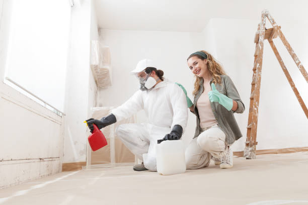 Mold Remediation for Rental Properties in Star, ID